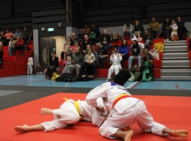 IMG_1511.webp