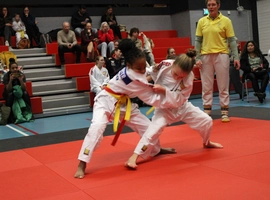 IMG_1515.webp