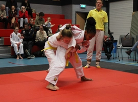 IMG_1517.webp