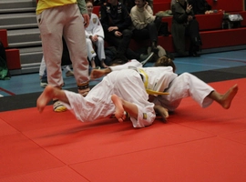IMG_1518.webp
