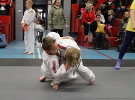 IMG_1527.webp