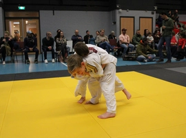 IMG_1532.webp