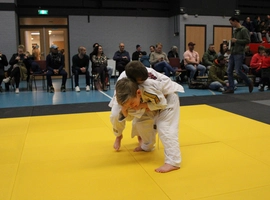 IMG_1533.webp
