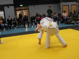 IMG_1534.webp