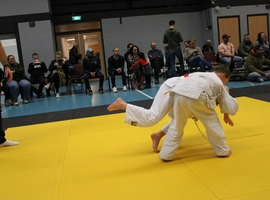 IMG_1535.webp