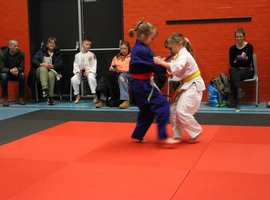 IMG_1546.webp
