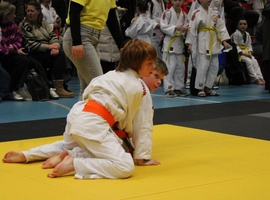 IMG_1558.webp