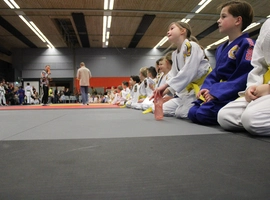 IMG_1566.webp