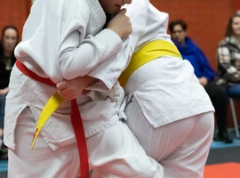IMG_3290.webp