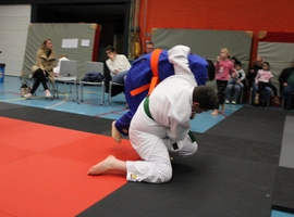 IMG_1645.webp