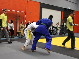 IMG_1667.webp
