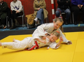 IMG_1671.webp