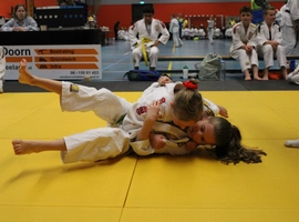 IMG_1690.webp