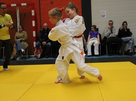 IMG_1705.webp