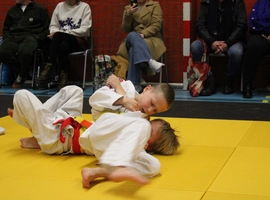 IMG_1717.webp