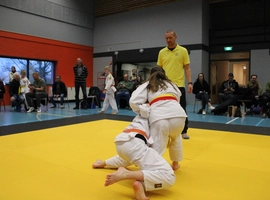 IMG_1733.webp