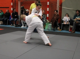 IMG_1737.webp