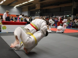 IMG_1790.webp