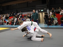 IMG_1804.webp