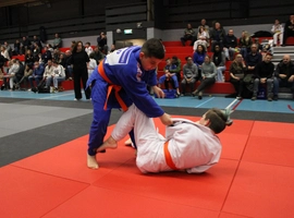 IMG_1811.webp