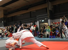 IMG_1822.webp