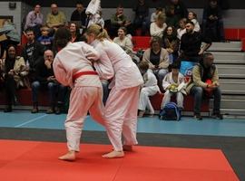 IMG_1843.webp