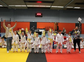 IMG_1869.webp