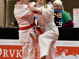 DSC_7346.webp