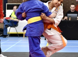 DSC_7739.webp
