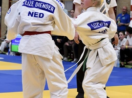 DSC_9311.webp