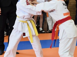DSC_1727-(W).webp