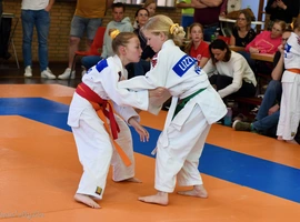 DSC_1784-(W).webp