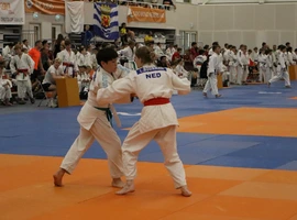 957226ef-2ac9-4dfa-b6fc-faa2e02d1e78.webp