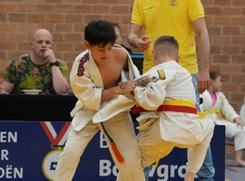 DSC07250.webp