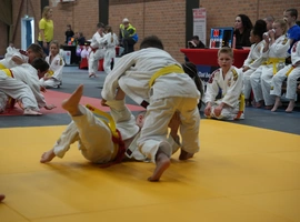 DSC07293.webp
