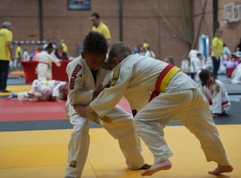 DSC07302.webp
