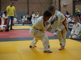 DSC07305.webp