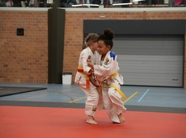 DSC07328.webp