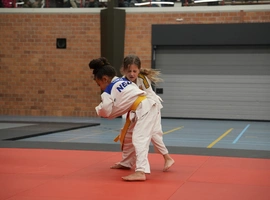 DSC07329.webp