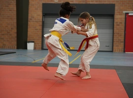 DSC07331.webp