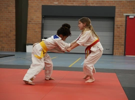 DSC07332.webp