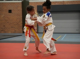 DSC07333.webp