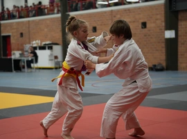 DSC07365.webp