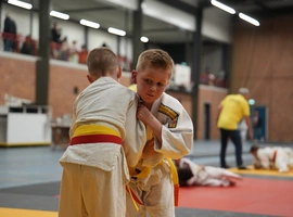 DSC07385.webp