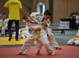 DSC07404.webp