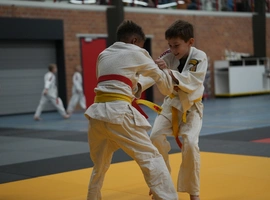 DSC07435.webp