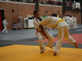 DSC07459.webp
