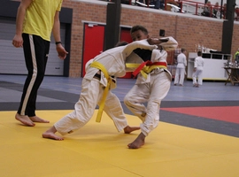 IMG_4910.webp