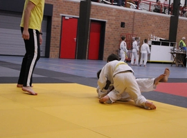 IMG_4911.webp