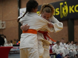 DSC07482.webp